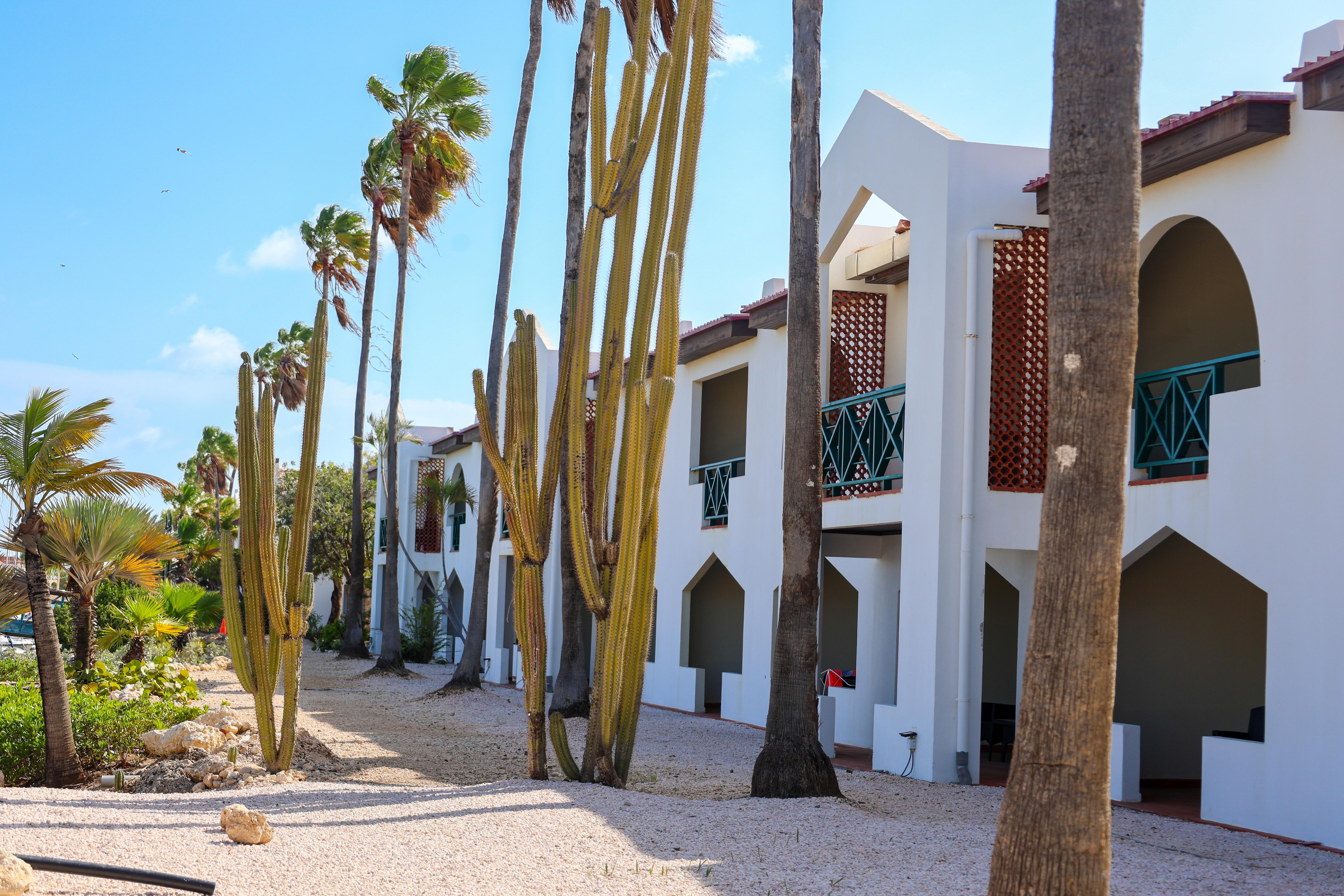 Van Der Valk Plaza Beach & Dive Resort Bonaire Kralendijk Esterno foto